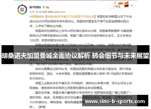 胡桑诺夫加盟曼城全面协议解析 转会细节与未来展望 胡桑诺夫加盟曼城全面协议解析 转会细节与未来展望